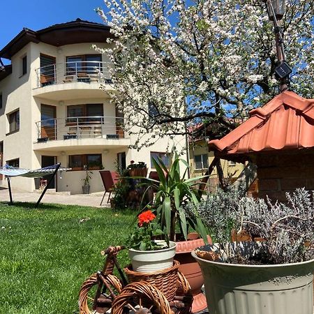 Casa Ana Cluj公寓 外观 照片