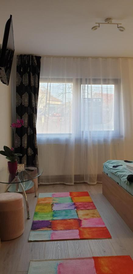 Casa Ana Cluj公寓 外观 照片