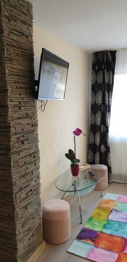 Casa Ana Cluj公寓 外观 照片