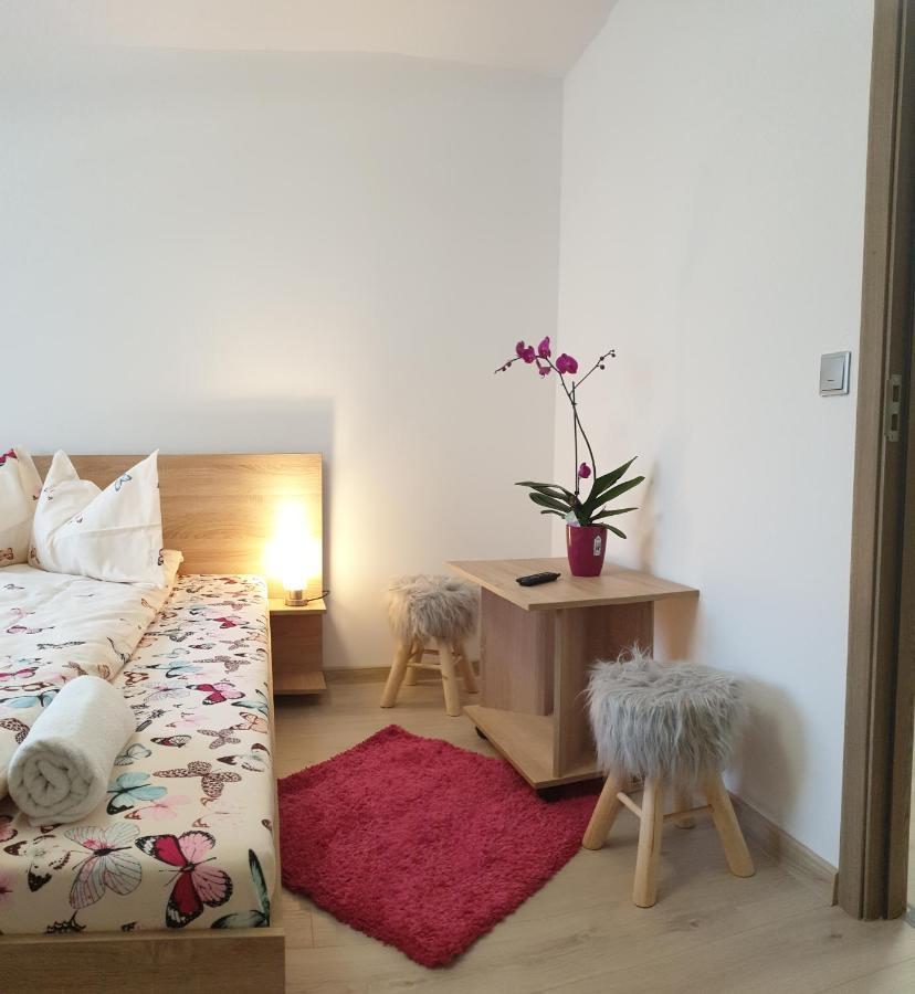 Casa Ana Cluj公寓 外观 照片