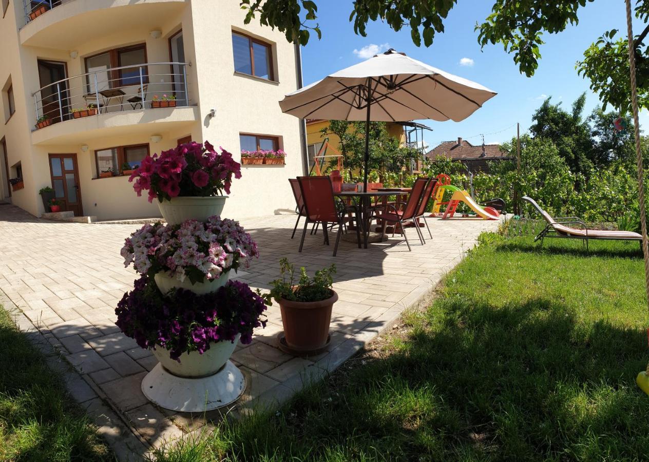 Casa Ana Cluj公寓 外观 照片