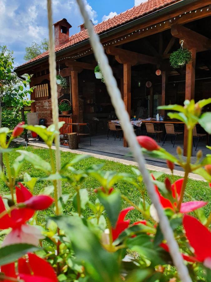 Casa Ana Cluj公寓 外观 照片