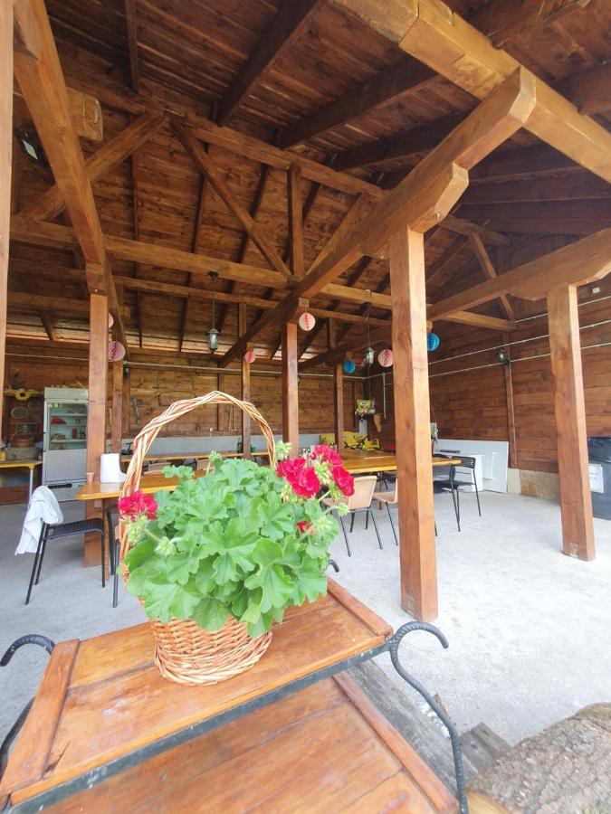 Casa Ana Cluj公寓 外观 照片