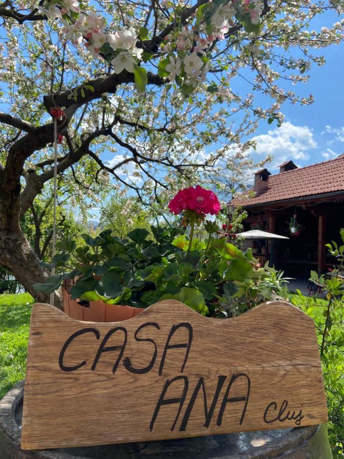 Casa Ana Cluj公寓 外观 照片